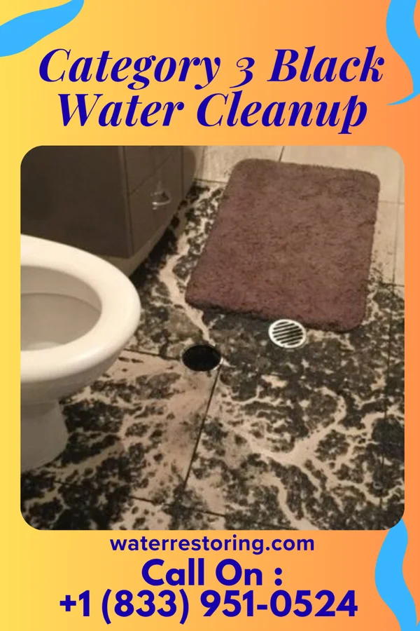 Category 3 Black Water Cleanup in Strong, PA