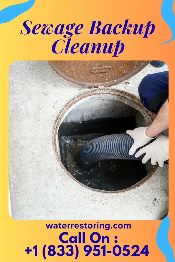 Sewage Backup Cleanup in Strong, PA