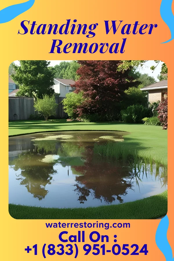 Standing Water Removal in Strong, PA